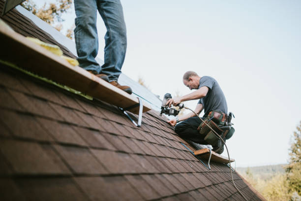 Best Commercial Roofing Services  in Albion, IL